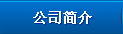 公司简介